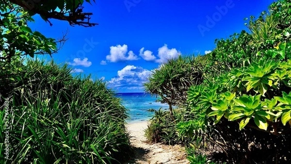 Obraz 慶良間諸島阿嘉島のヒズシビーチへ続く道と海