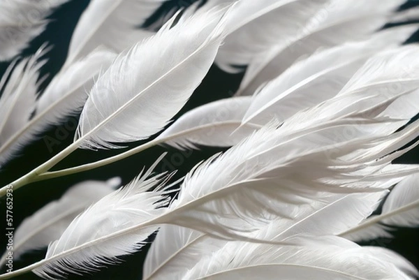 Fototapeta feathers on dark background generative ai