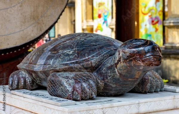 Obraz marble turtle on a stone