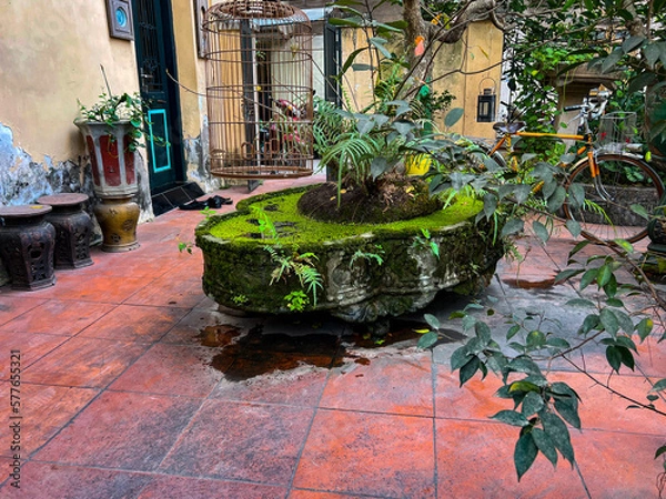 Obraz garden with flowers and stone
