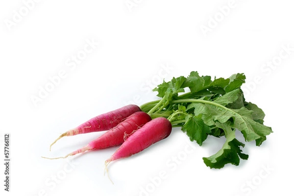 Fototapeta Red radish