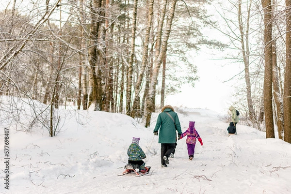 Fototapeta A woman in a green jacket carries one child on a sled and leads another by the hand in a winter snowy park