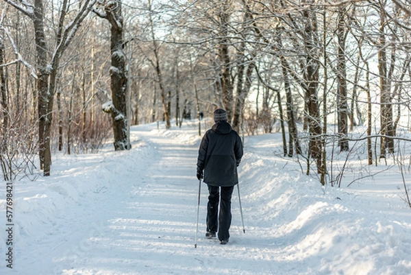 Fototapeta A woman in a dark jacket walks in a winter park with Scandinavian sticks