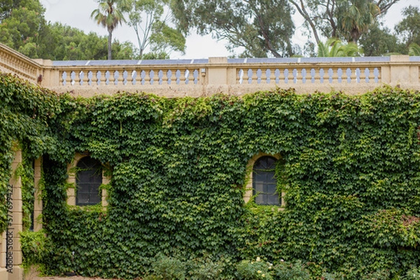 Obraz Green wall sky