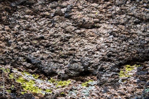 Obraz Background texture rock stone with moss