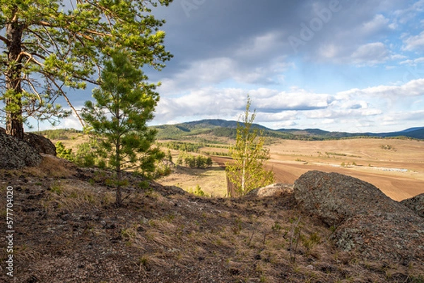 Obraz Rocks with pine trees against the sky, spring