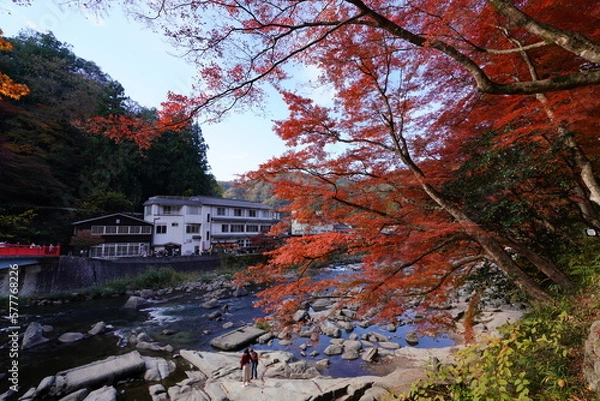Obraz 香嵐渓　紅葉