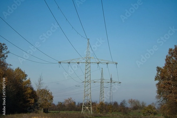 Fototapeta Power lines through a forest