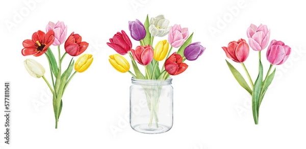 Obraz Set of tulips isolated on white background. Watercolor floral botanical illustration.