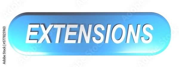 Fototapeta Blue rounded rectangle button with the write EXTENSIONS - 3D rendering illustration