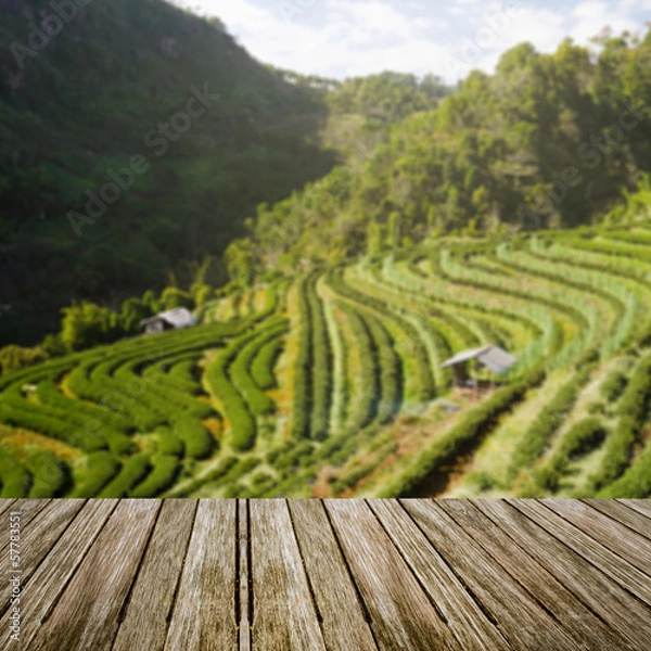 Fototapeta wooden table perspective with blur green field background