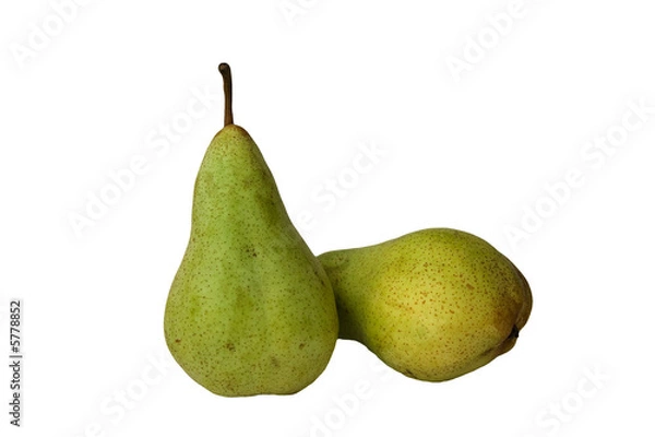 Obraz Zwei Birnen