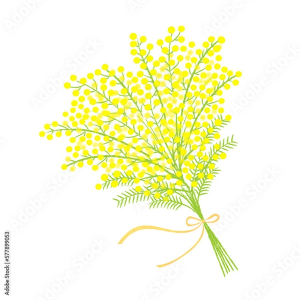 Obraz ミモザのデザイン素材