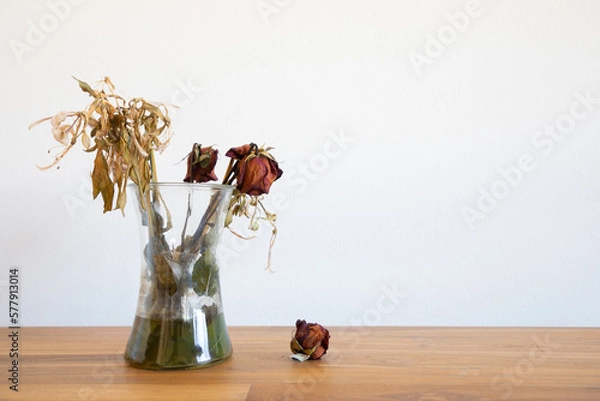 Obraz Old dead wilted 
flowers in glass vase with fallen bud on wooden table

