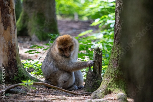 Obraz Bei der Arbeit