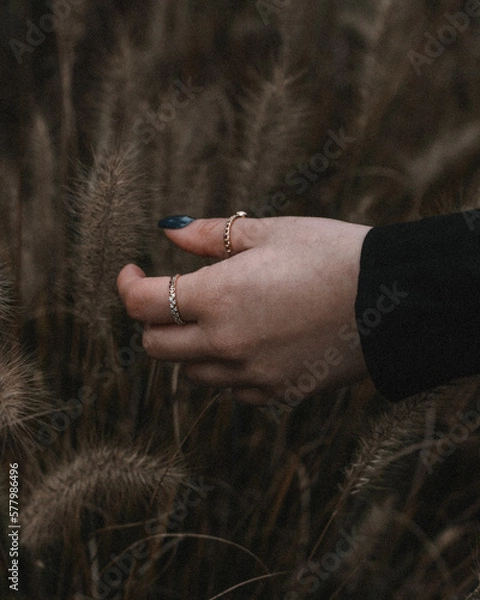 Obraz Aesthetic Hand Touching Grass 