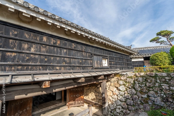 Fototapeta 高知城