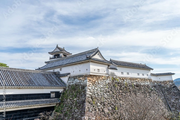 Fototapeta 高知城