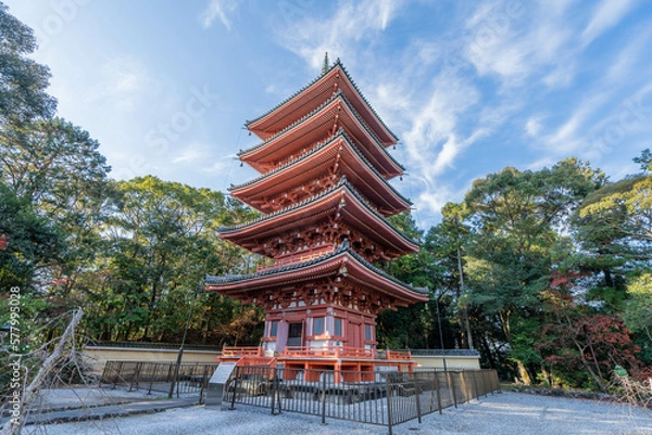 Fototapeta 竹林寺