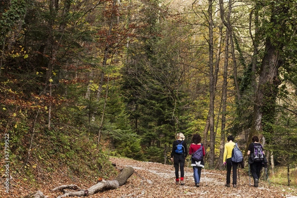 Obraz Four women taking a walk in the woods