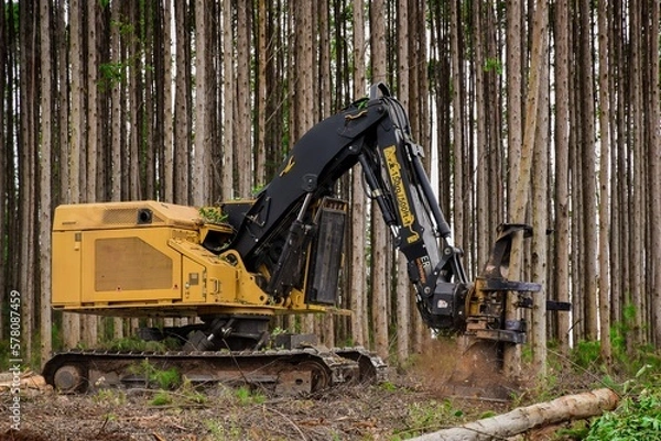 Fototapeta Logging Machine Forest Machine Timber Harvesting 