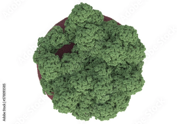 Fototapeta Realistic forest island on transparent background. 3d rendering - illustration