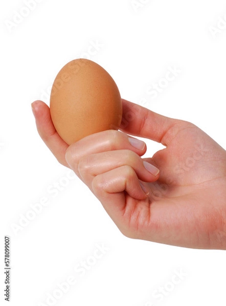 Fototapeta Hand hold egg shell isolated on transparent layered background.