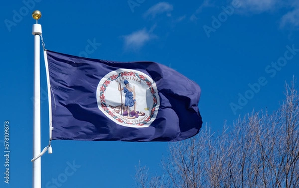 Fototapeta Virginia State Flag