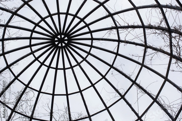 Fototapeta Detalle de la cúpula de una estructura metálica en un parque