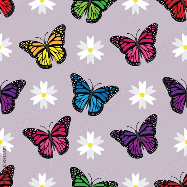 Fototapeta Butterfly pattern vector image or background