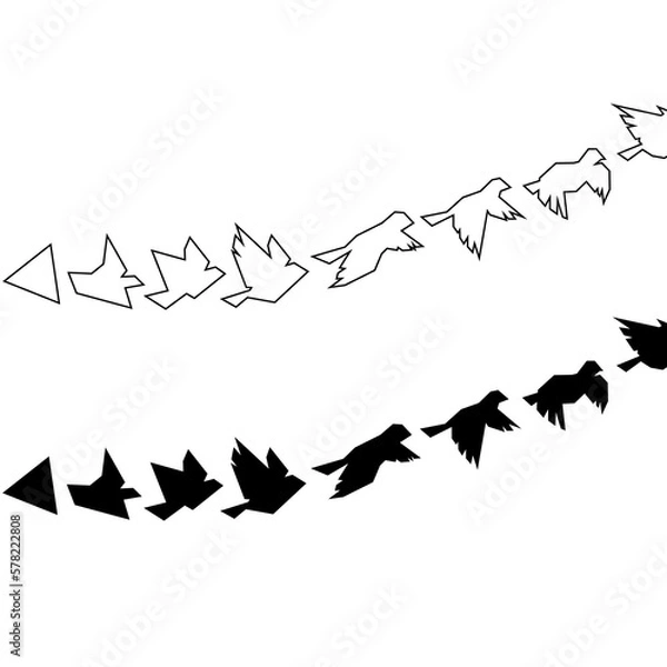 Obraz Bird evolution illustration - Vector