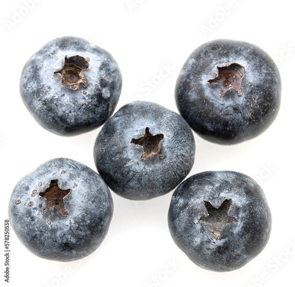 Fototapeta blueberries on a white background