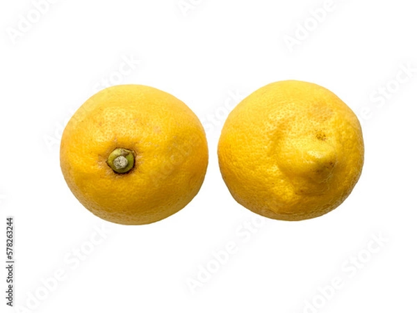 Fototapeta Lemon cut in half, shell side