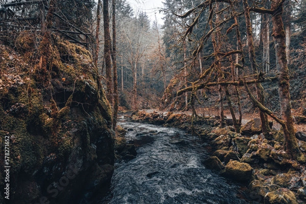 Obraz Saut du Bouchot Vosges