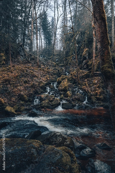 Obraz Saut du Bouchot Vosges