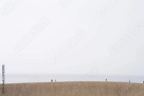 Obraz 砂丘を歩く女性