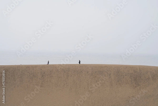 Obraz 砂丘を歩く女性