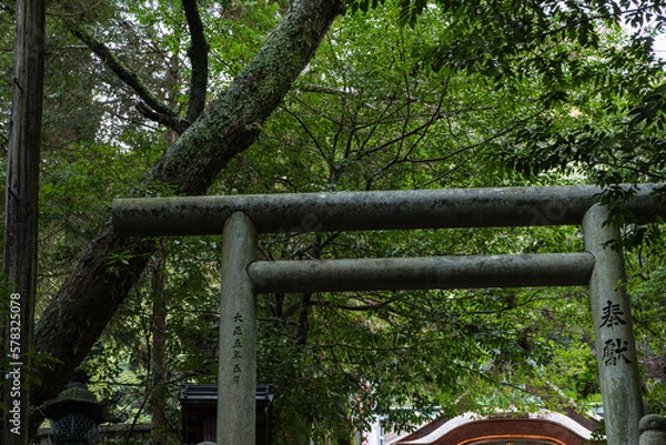 Fototapeta 日本　香川県仲多度郡琴平町にある金刀比羅宮の下向道から見上げる鳥居と三穂津姫神社