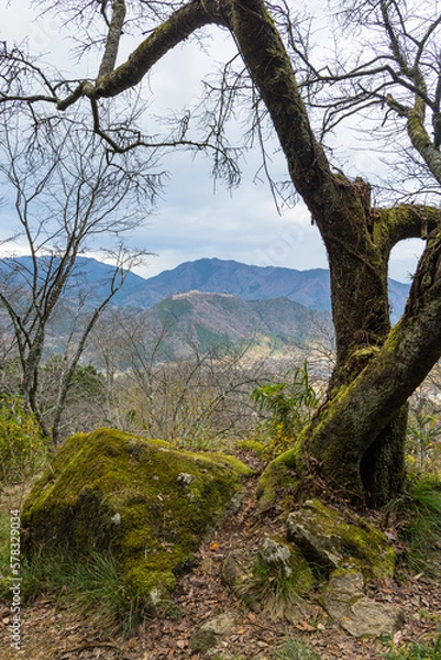 Fototapeta 日本　兵庫県朝来市の立雲峡から見える早朝の雲海のない竹田城跡