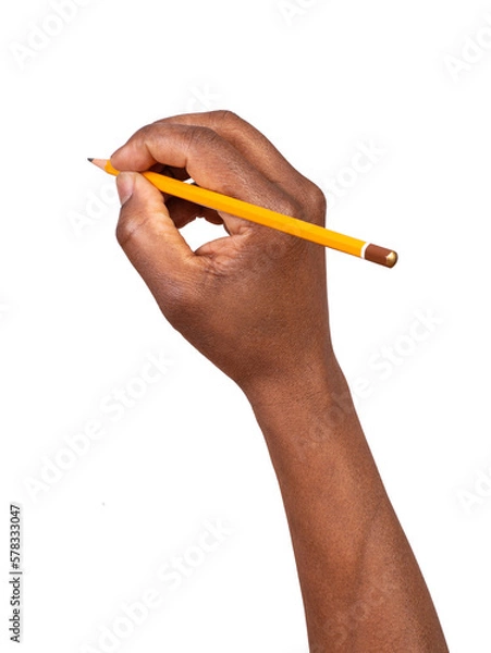 Fototapeta Man holding a pencil in a hand and writing or drawing, isolated on white or transparent background 