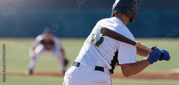 Obraz Baseball players in action on the stadium, baseball batter waiting to strike the ball	