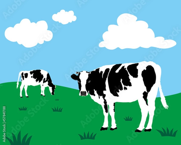 Obraz Vector of dairy cattle in grassland