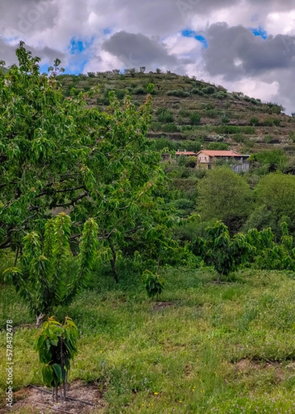 Fototapeta Jerte valley