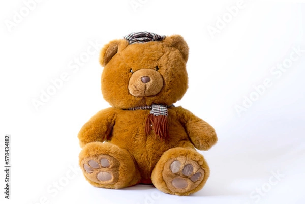 Obraz Urso de Pelúcia