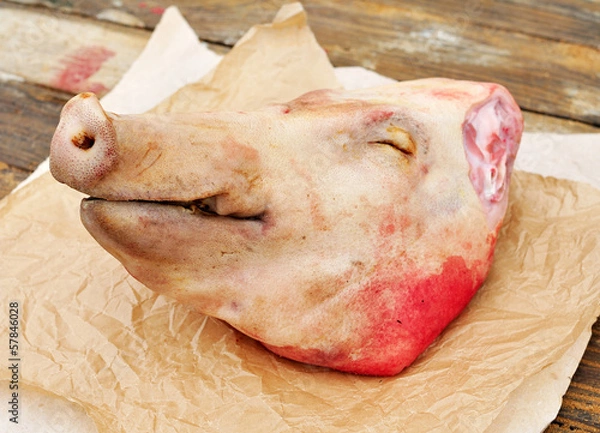 Fototapeta PIg's Head