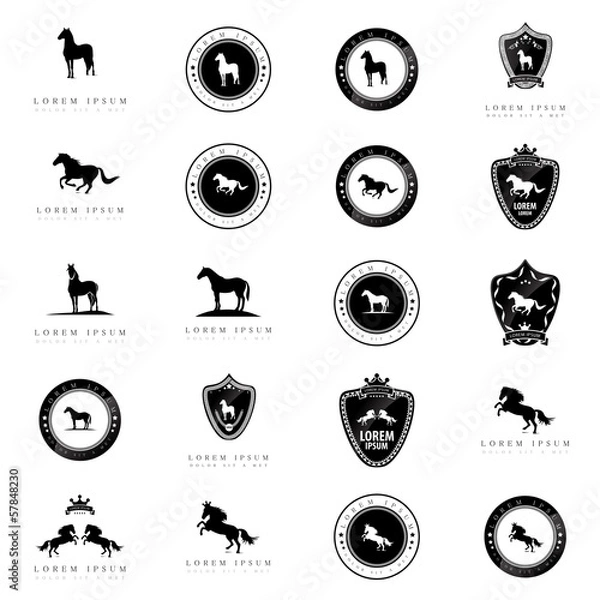 Fototapeta Horse Icons Set - Isolated On White Background