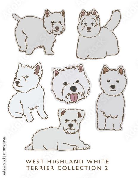 Fototapeta West Highland White Terrier Color Illustrations in Various Poses Collection 2