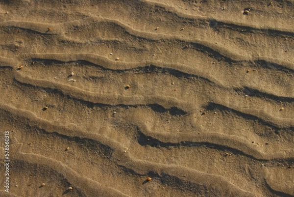 Fototapeta Wet, sand background. Selective focus.