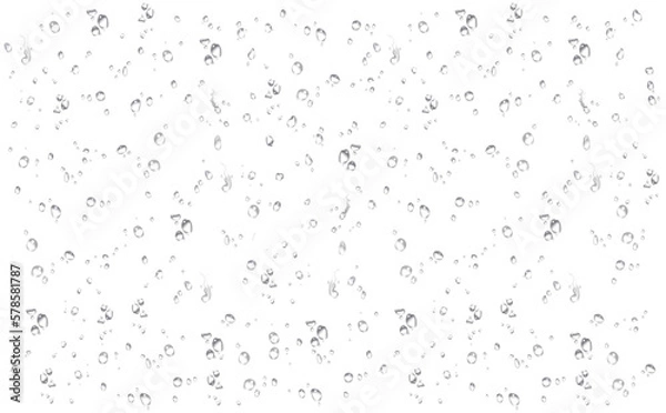 Obraz water rain drop drops transparent rainy droplets