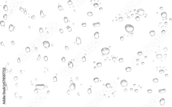 Fototapeta water drops rain droplets rainy fog droplets rainy drop transparent  fizz